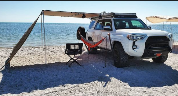 Beach Hammock